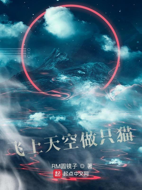 飞上天空明白了什么