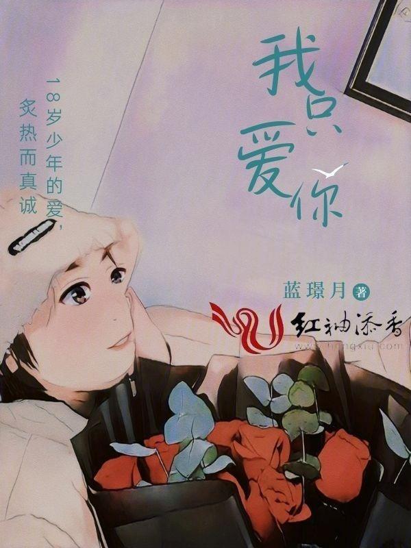 我只爱你的英语