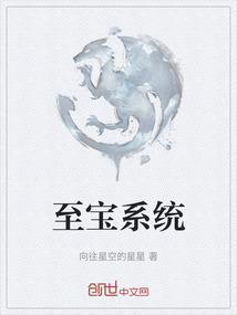 至宝进度是啥意思