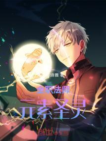 全职法师元素排行和技能