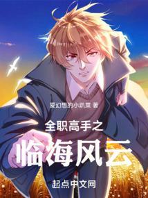 全职高手之姐