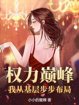 权力巅峰我从基层步步布局的