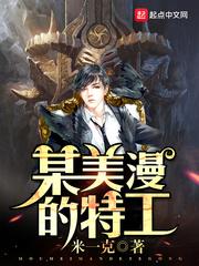 某美漫的特工 阅读