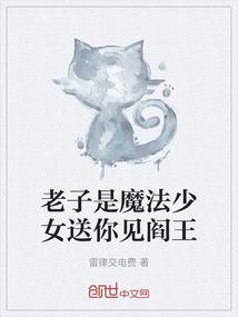 老子是魔法少女33章