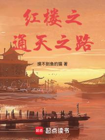 红楼之太