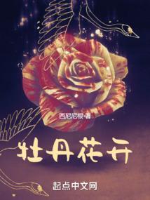 牡丹花开放的季节