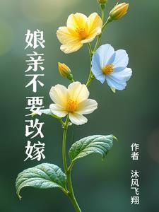 穿越后我~嫁by暮色酒