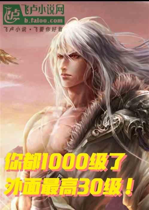 你都1000级了外面最高30级免费全文阅
