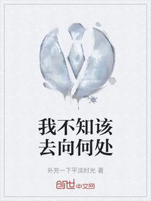 我不知道去向何方 歌词