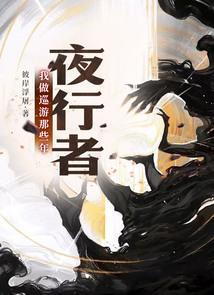 夜行者游侠战记