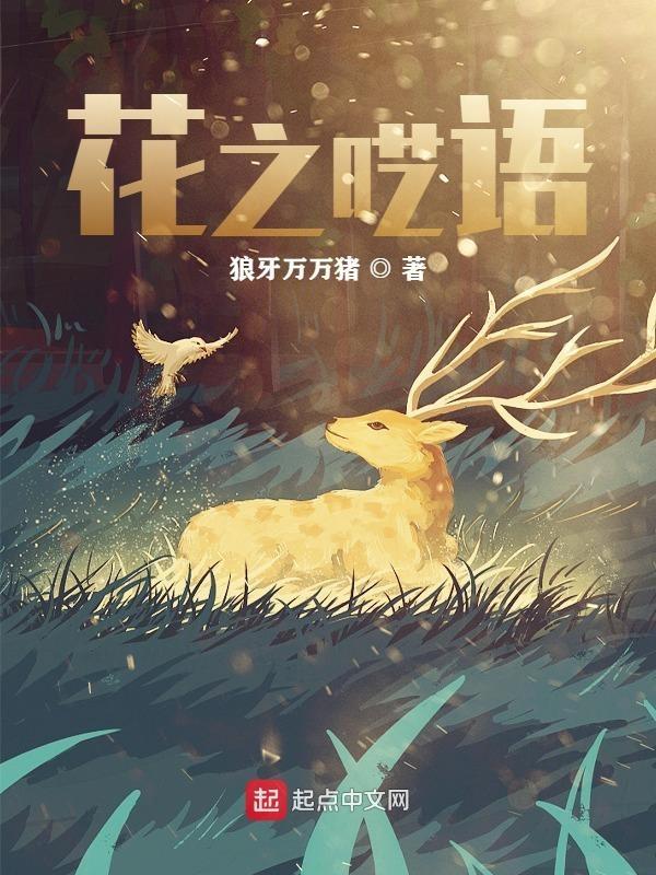 花之语520