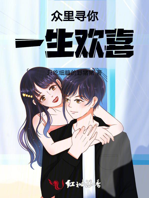 众里寻你这首歌表达了什么