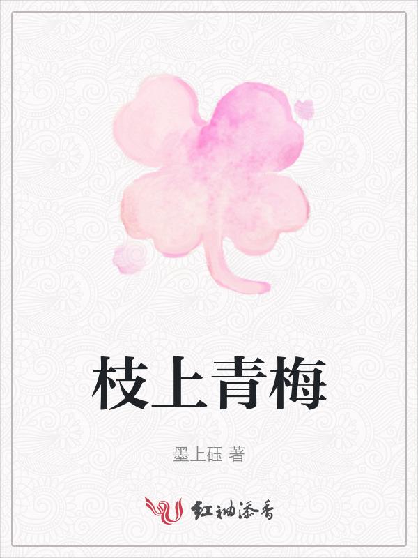 枝上青梅作品集