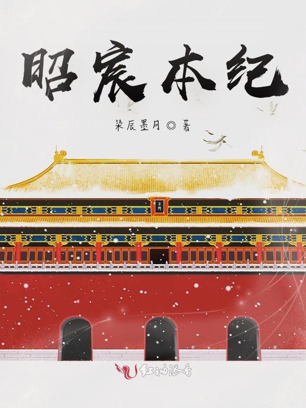 昭华本纪讲了什么