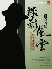 民国谍影接回影子
