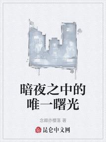 暗夜里唯一的光作文
