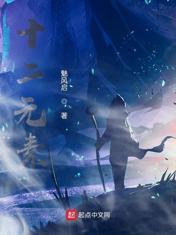 十二元素作用