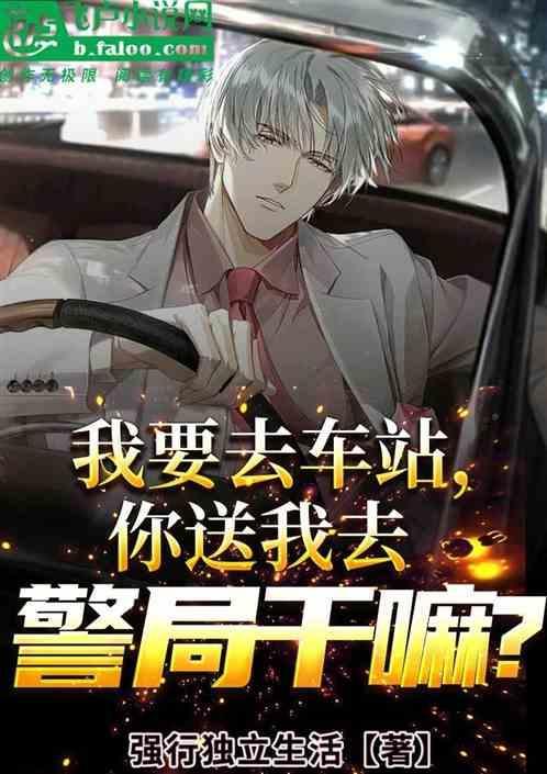 我要去西站