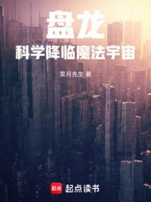 盘龙中的法则