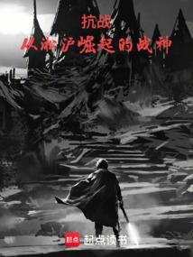 淞沪抗战史料丛书