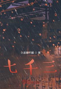 七千三百八十的算盘图像