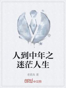 中年迷茫的句子
