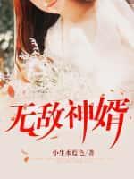 “无敌神婿”