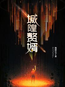 赘婿城市原型