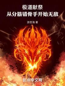 极道宗师的简介