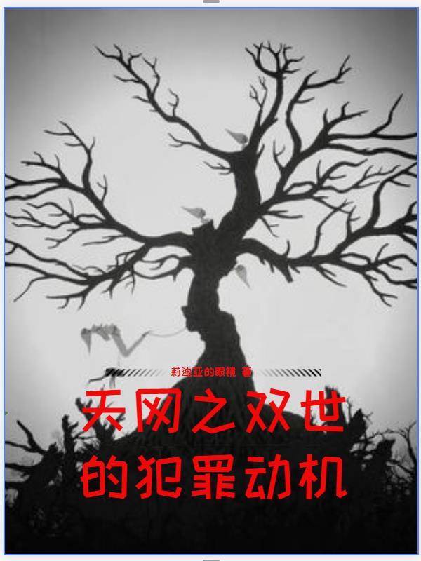 天网双面盗贼上
