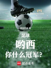 足球哟西你什么冠军
