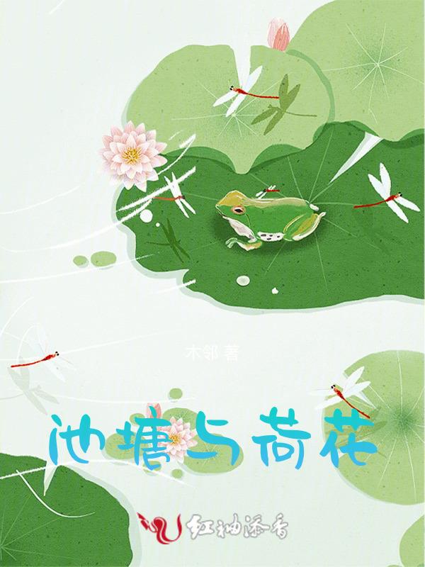 池塘荷花的短句