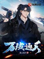 空姐背后短剧免费播放