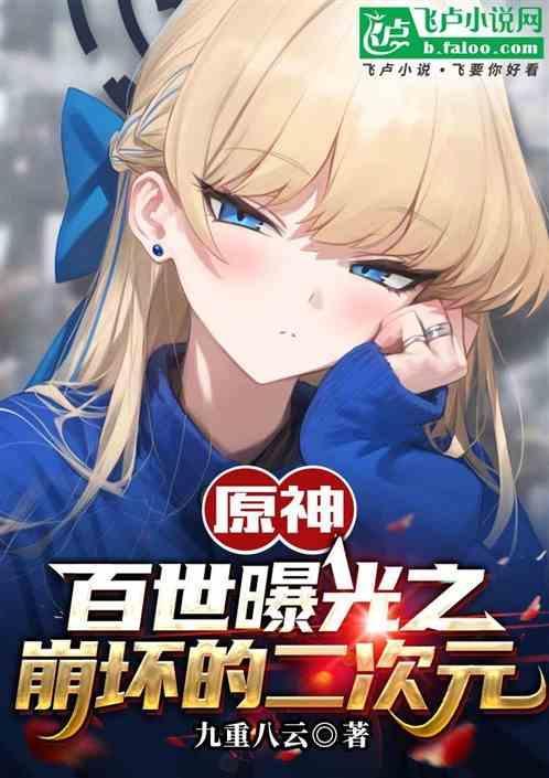 崩坏的二次元简介