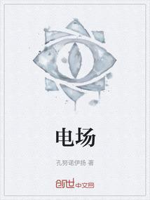 电场强度是矢量还是标量