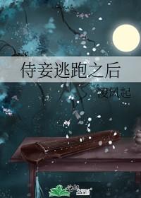 侍妾逃跑之后 凌风起TXT