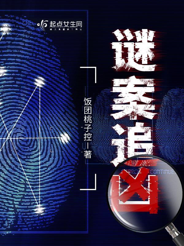 谜案追凶第二部