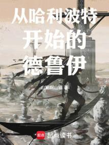 哈利波特世界的德鲁伊