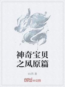 神奇宝贝之神风传说