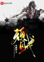 顽贼简介
