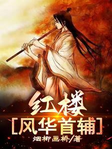 红楼风华首辅类似文