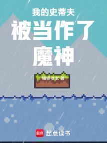 我的世界史蒂夫作文