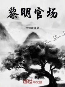 陈黎明的综艺节目