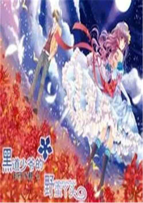 霸道少爷与野蛮丫鬟的电视剧
