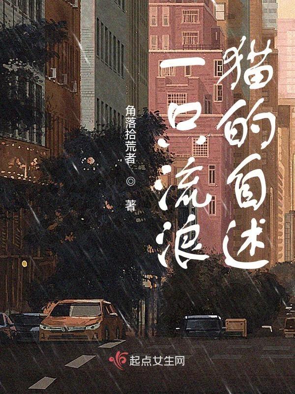 一只流浪猫的故事