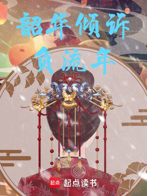 韶华倾负下一句怎么对