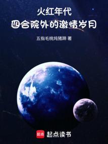 火红年代四合院外的激情岁月TXT百度