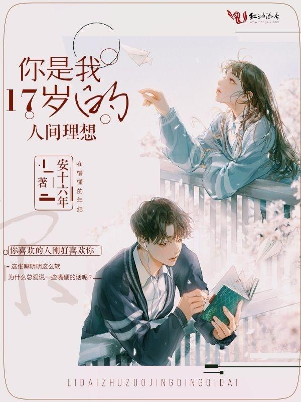 你是我17岁的人间理想讲的什么