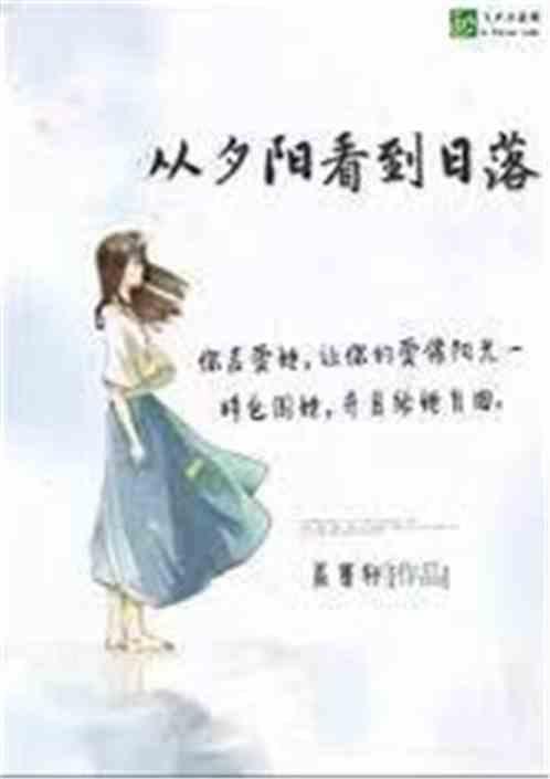 陪你从清晨到日落