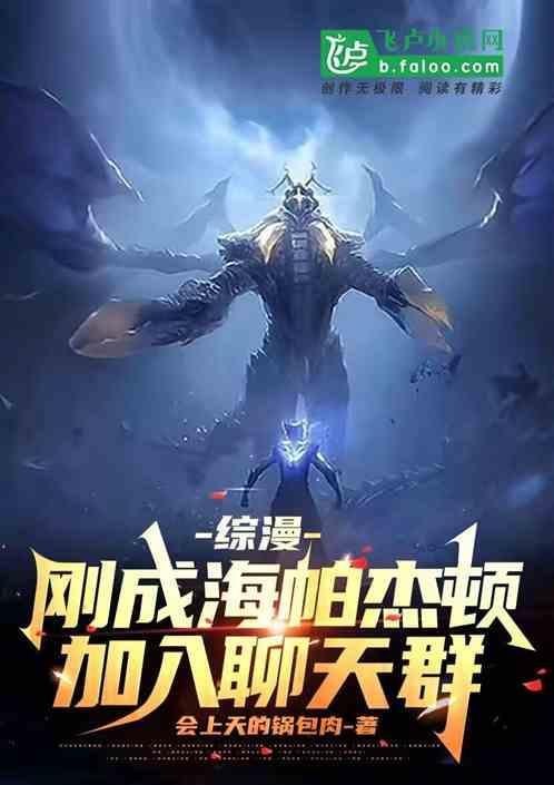 海帕杰顿飞卢